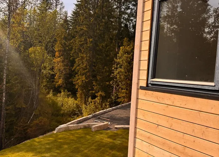 The Oslo Cabin